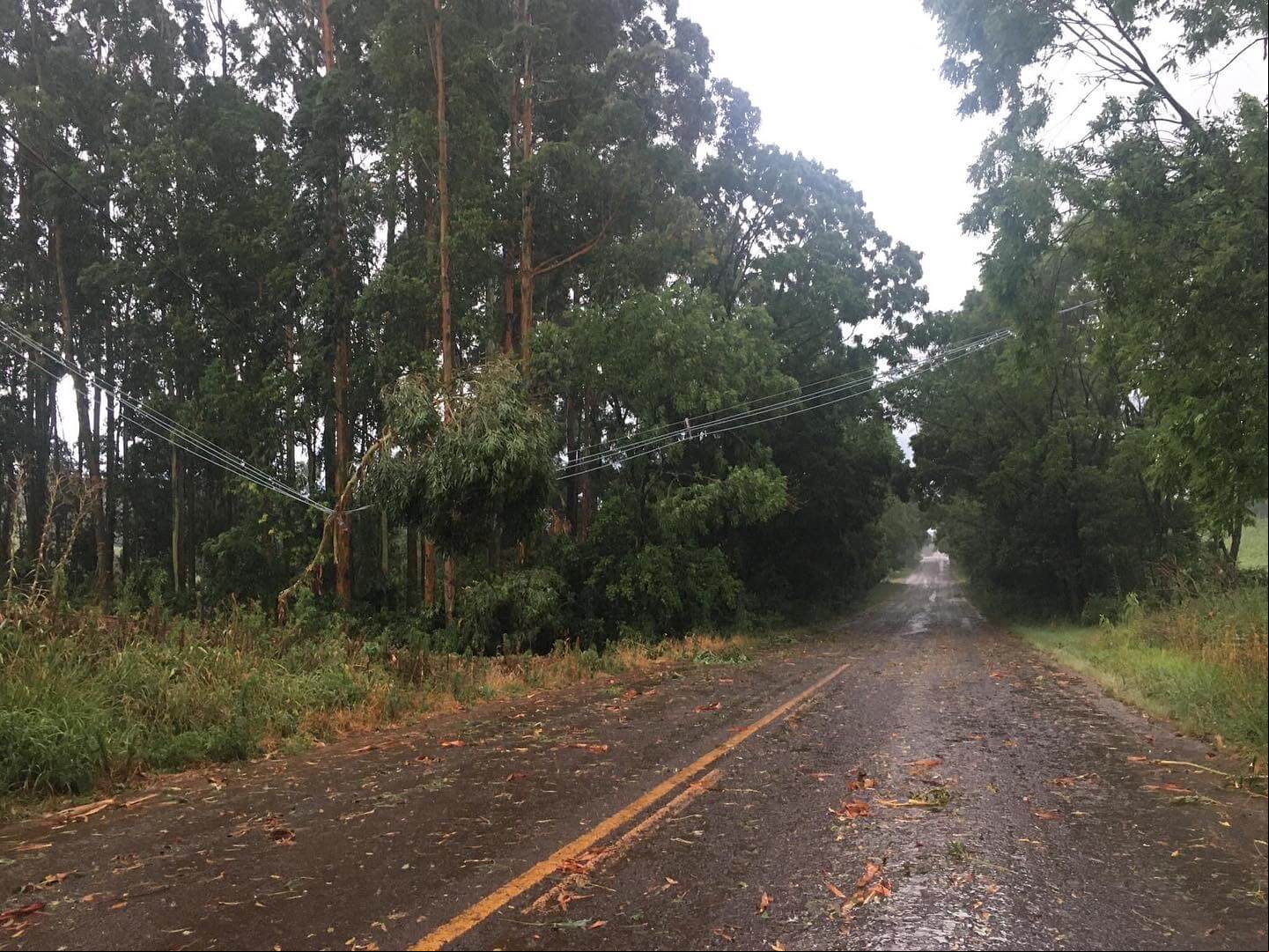 Capa Temporal provoca estragos em Erval Seco