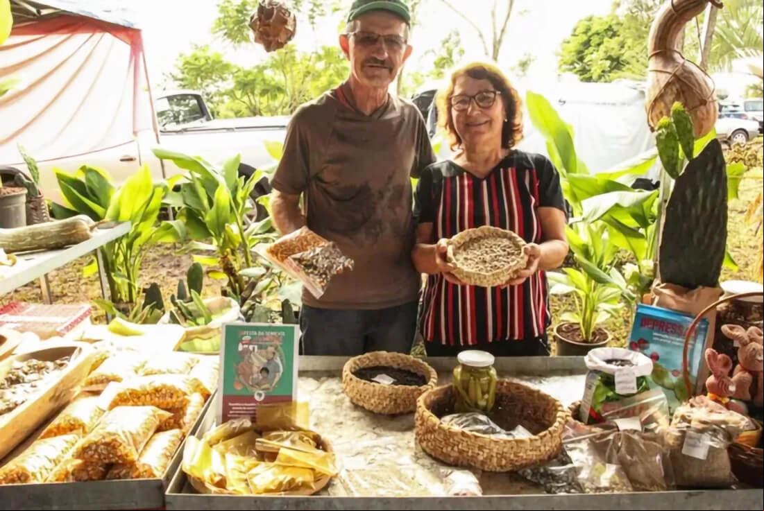 Capa 8ª Festa da Semente Crioula destaca a força da agricultura familiar neste sábado em Seberi